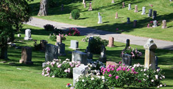 Toledo Cremation Services